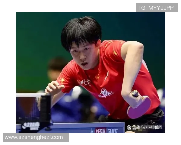 北京乒乓球队比赛经验分享与成长之路的深度探讨