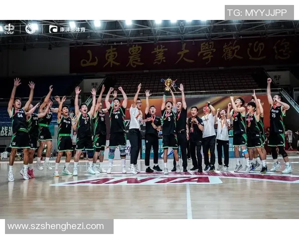 深圳篮球队在冠军赛中的表现分析与状态评估