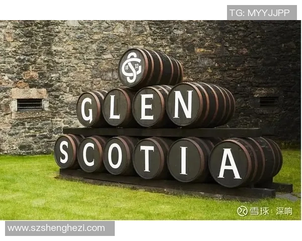 足球集卡热潮来袭收藏与交易的乐趣尽在其中